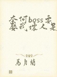 奈何boss要娶我坏人是谁