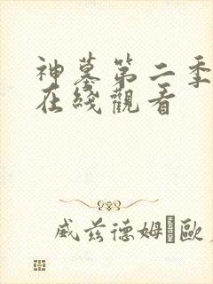 神墓第二季年番在线观看