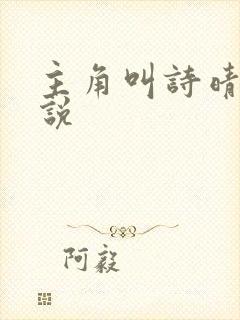 主角叫诗晴的小说