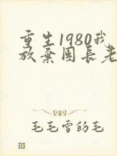重生1980我放弃团长老婆小说