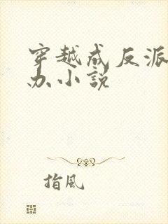 穿越成反派怎么办小说