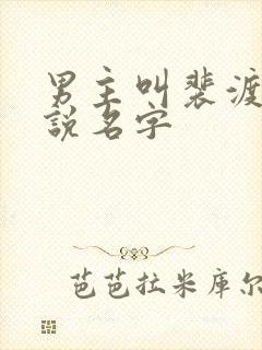 男主叫裴渡的小说名字