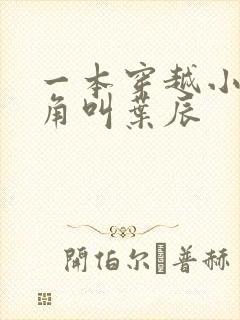 一本穿越小说主角叫叶辰