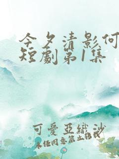 今夕清影何处寻短剧第1集