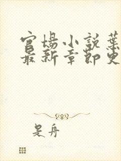 官场小说叶平宇最新章节更新