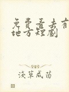 免费看去有你的地方短剧