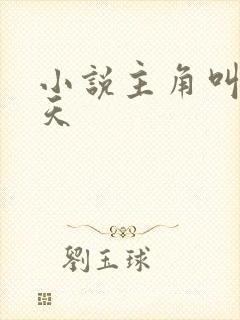 小说主角叫龙傲天