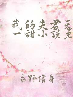 我的夫君天下第一甜小说免费阅读