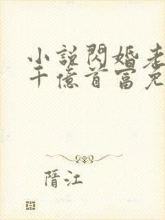 小说闪婚老公是千亿首富免费阅读