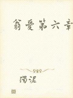 翁爱第六章
