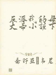 反派我的母亲是大帝小说下载