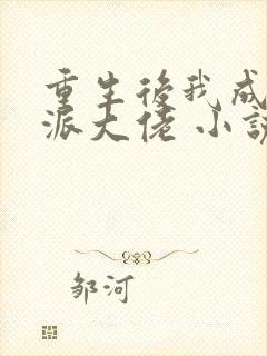 重生后我成了反派大佬 小说