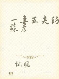 一妻五夫的小说苏彦