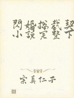 闪婚总裁契约妻小说完整下载