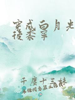 穿成白月光替身后黍宁