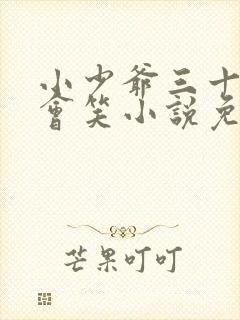 小少爷三十天后会笑小说免费阅读