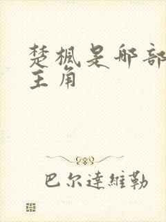 楚枫是哪部小说主角