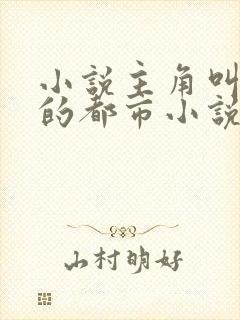 小说主角叫叶峰的都市小说