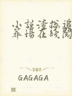 小说渣总追妻火葬场在线阅读