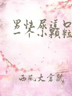 男性尿道口长了一个小颗粒