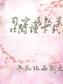 司空嫣然叶凡txt阅读下载