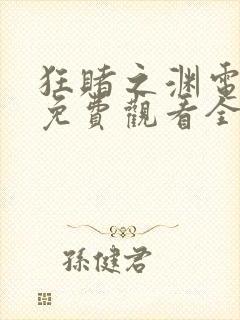 狂赌之渊电视剧免费观看全集在线播放