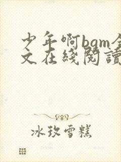 少年啊bgm全文在线阅读笔趣阁