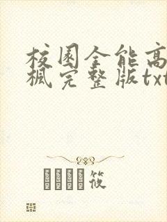校园全能高手季枫完整版txt下载