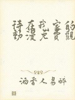 待在我家的辣妹动漫免费观看全集