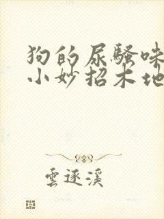 狗的尿骚味去除小妙招木地板