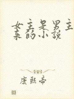 女主是男主买回来的小说