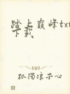 踏上巅峰txt下载