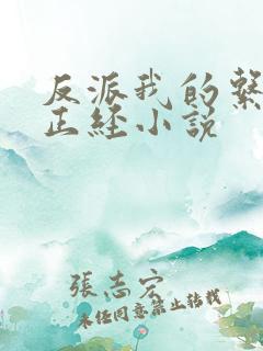 反派我的系统不正经小说