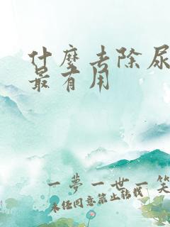 什么去除尿骚味最有用