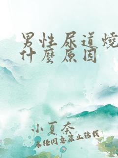 男性尿道烧疼是什么原因