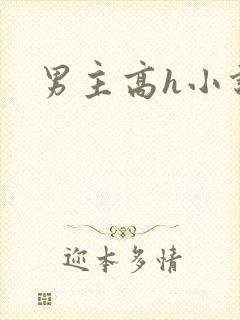 男主高h小说