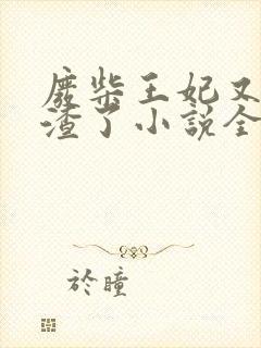 废柴王妃又在虐渣了小说全文免费阅读