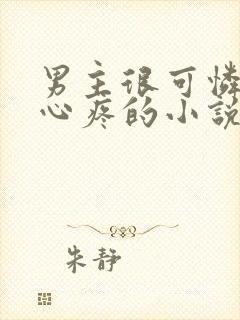 男主很可怜让人心疼的小说