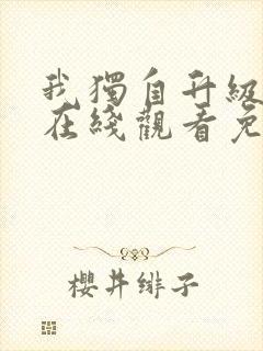 我独自升级动漫在线观看免费版