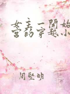 女主一开始在冷宫的穿越小说