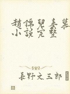 赵锦儿秦慕修 小说完整