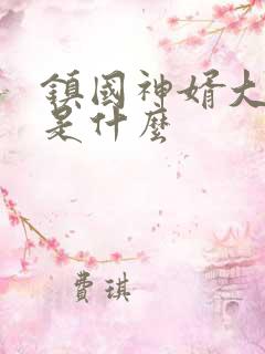 镇国神婿大结局是什么