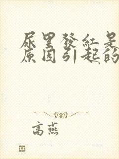 尿里发红是什么原因引起的