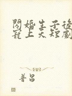 闪婚生子后老公宠上天短剧