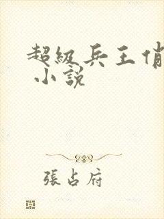 超级兵王俏总裁 小说