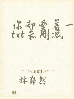 你却爱着一个他txt未删减