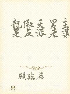 龙傲天男主就该是反派老婆