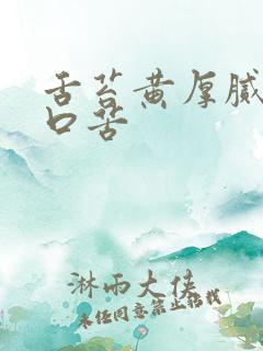 舌苔黄厚腻口干口苦