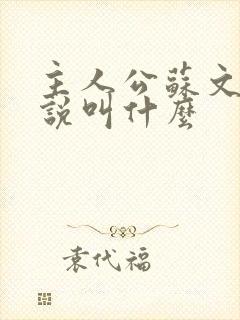 主人公苏文的小说叫什么