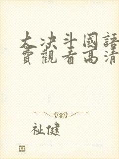 大决斗国语版免费观看高清